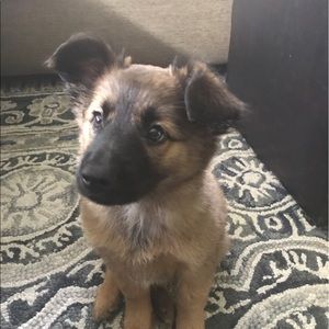 Meet your Posher, Mackenzie