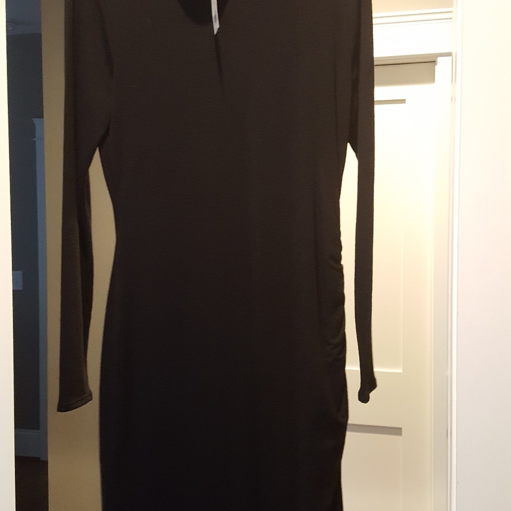 Banana Republic Fitted Ruched Dress