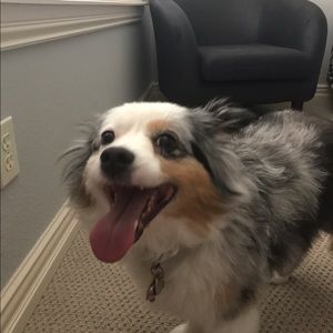 Meet your Posher, Anna