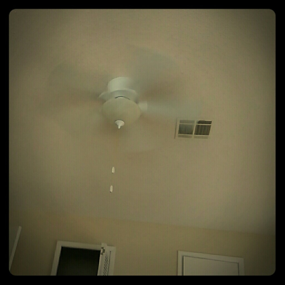 Fan