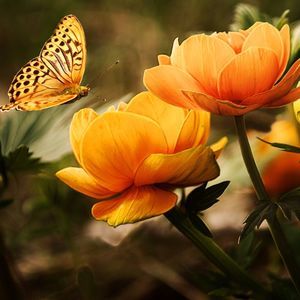 Meet your Posher, Chelsea