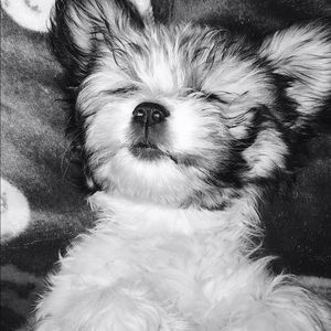 Meet your Posher, Gladys