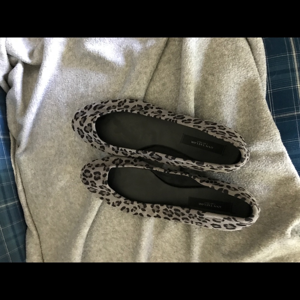 Ann Taylor Flats