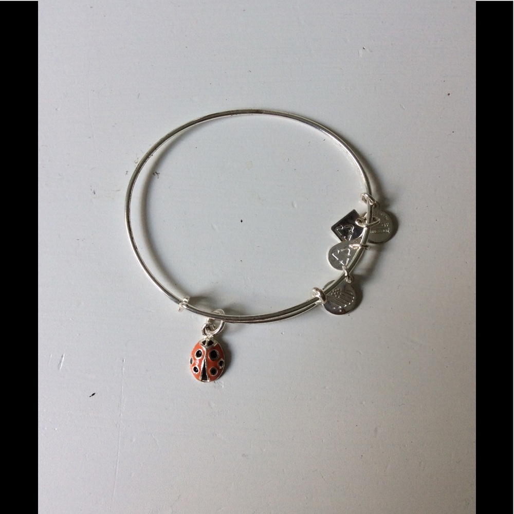 Ladybug Alex & Ani