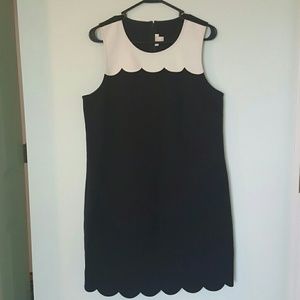 Ponte Scalloped Dress