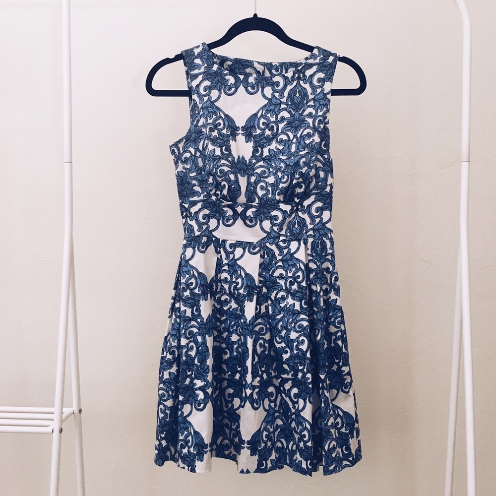 Blue White Skater Classy Dress