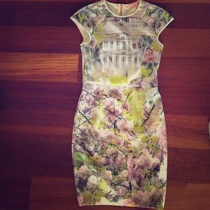 Ted Baker Dress!