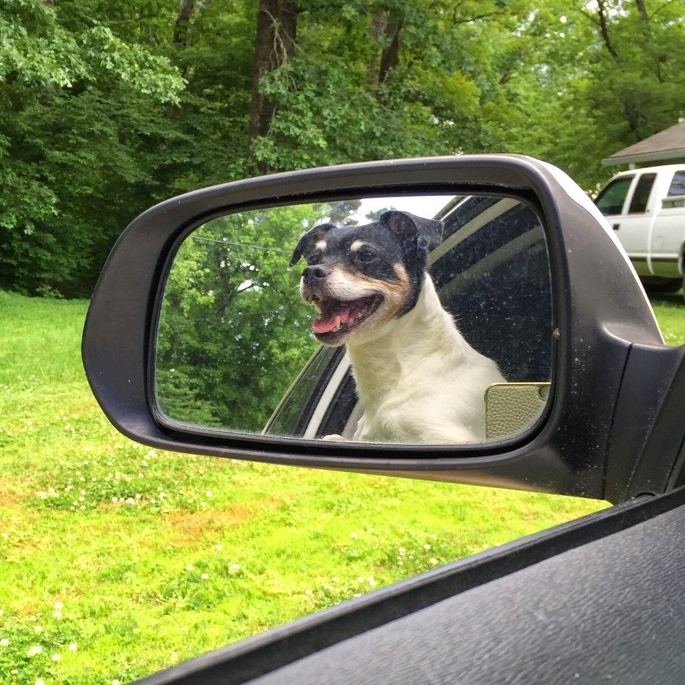 Meet your Posher, Jana