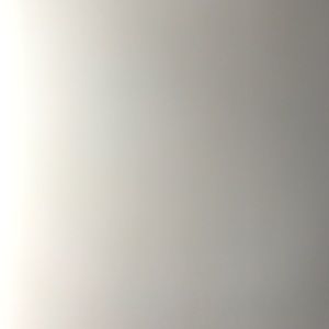 Meet your Posher, Trisha