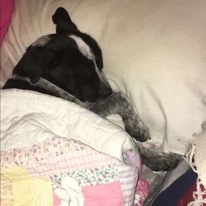 Meet your Posher, Mikayla