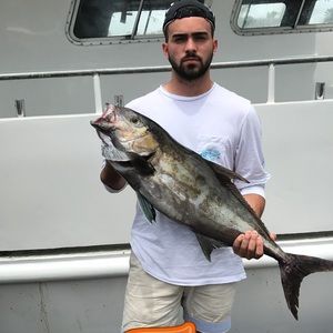 Meet your Posher, Jacob