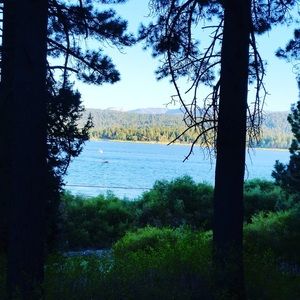 Meet your Posher, Grady