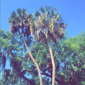 Meet your Posher, Morgan