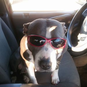 Meet your Posher, Stacey