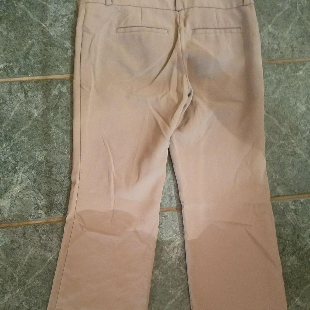 Dress pants
