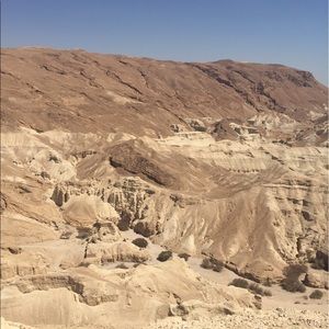 Meet your Posher, Debbi