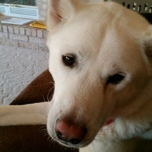 Meet your Posher, Barbara