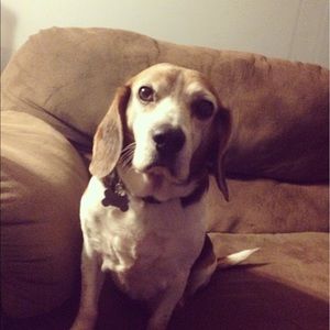 Meet your Posher, Briana