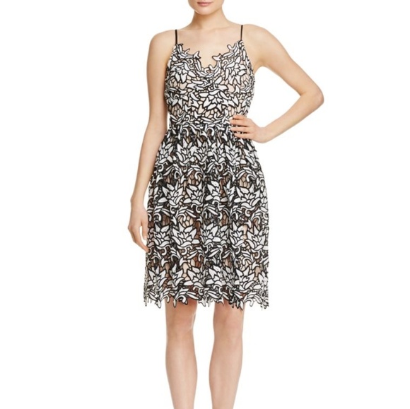 Aqua Dresses & Skirts - Black and White Floral Lace Overlay Dress