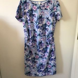 Pinkblush Maternity Dress