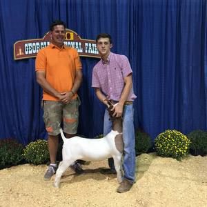 Meet your Posher, Bucky