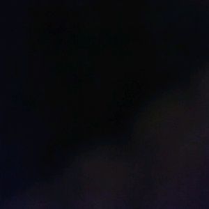 Meet your Posher, Ty