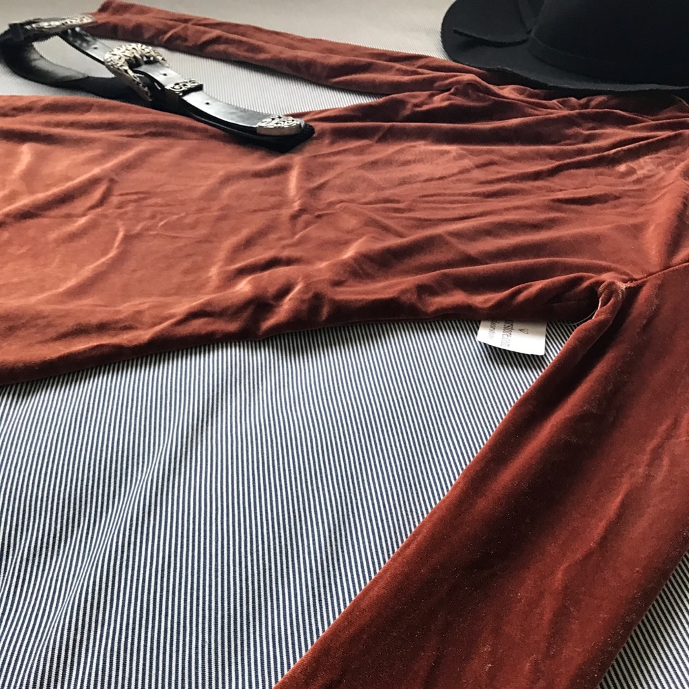 Beautiful NWT velvet long-sleeved dress in copper