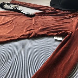 Beautiful NWT velvet long-sleeved dress in copper