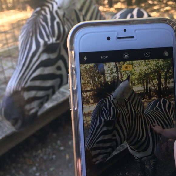 Meet your Posher, Aunt B - Picture 6 of 9