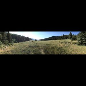 Meet your Posher, Felicity