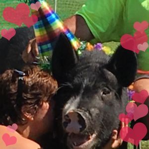 Meet your Posher, Lucy