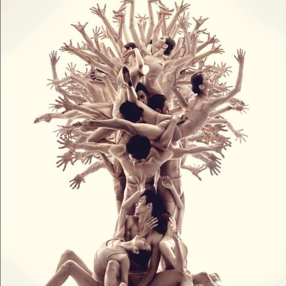 Meet your Posher, Gigi