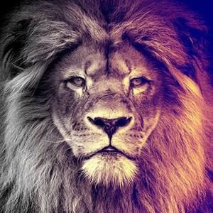 Meet your Posher, Gustavo