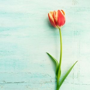 Meet your Posher, Melony