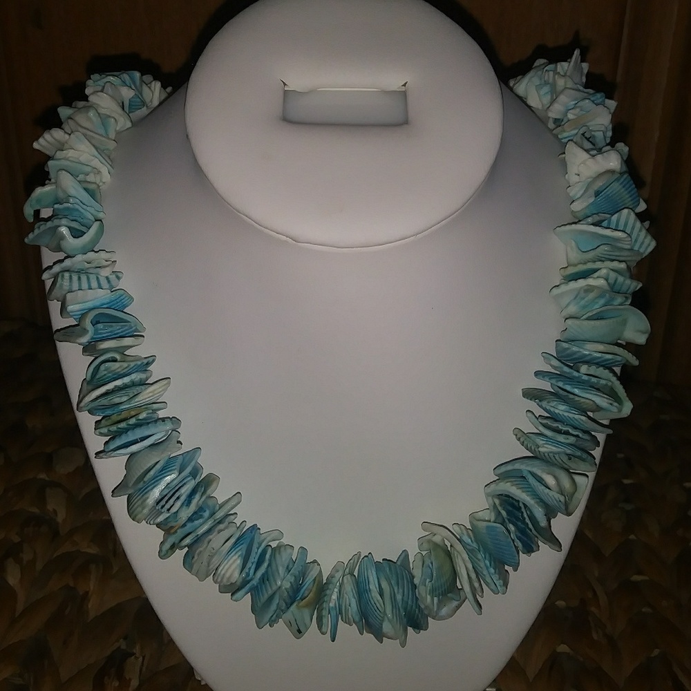 Teal Necklace with simple clasp