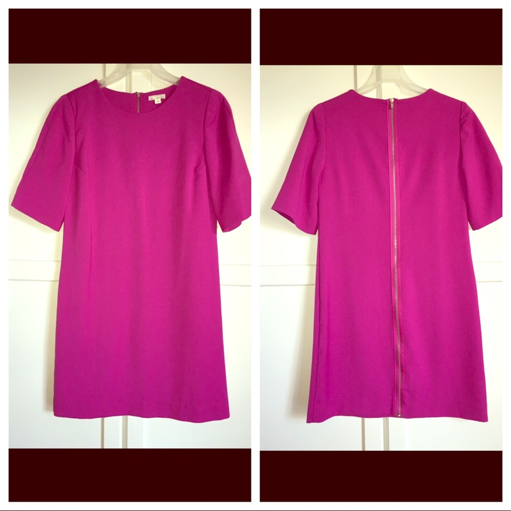 Gap Hot Magenta Full Zipper Dress
