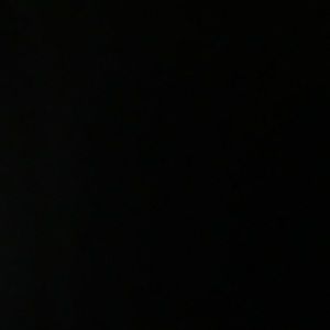 Meet your Posher, Lydia