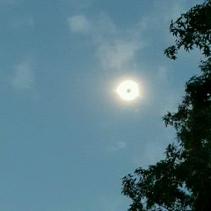 Meet your Posher, Elisha