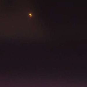 Meet your Posher, Radha