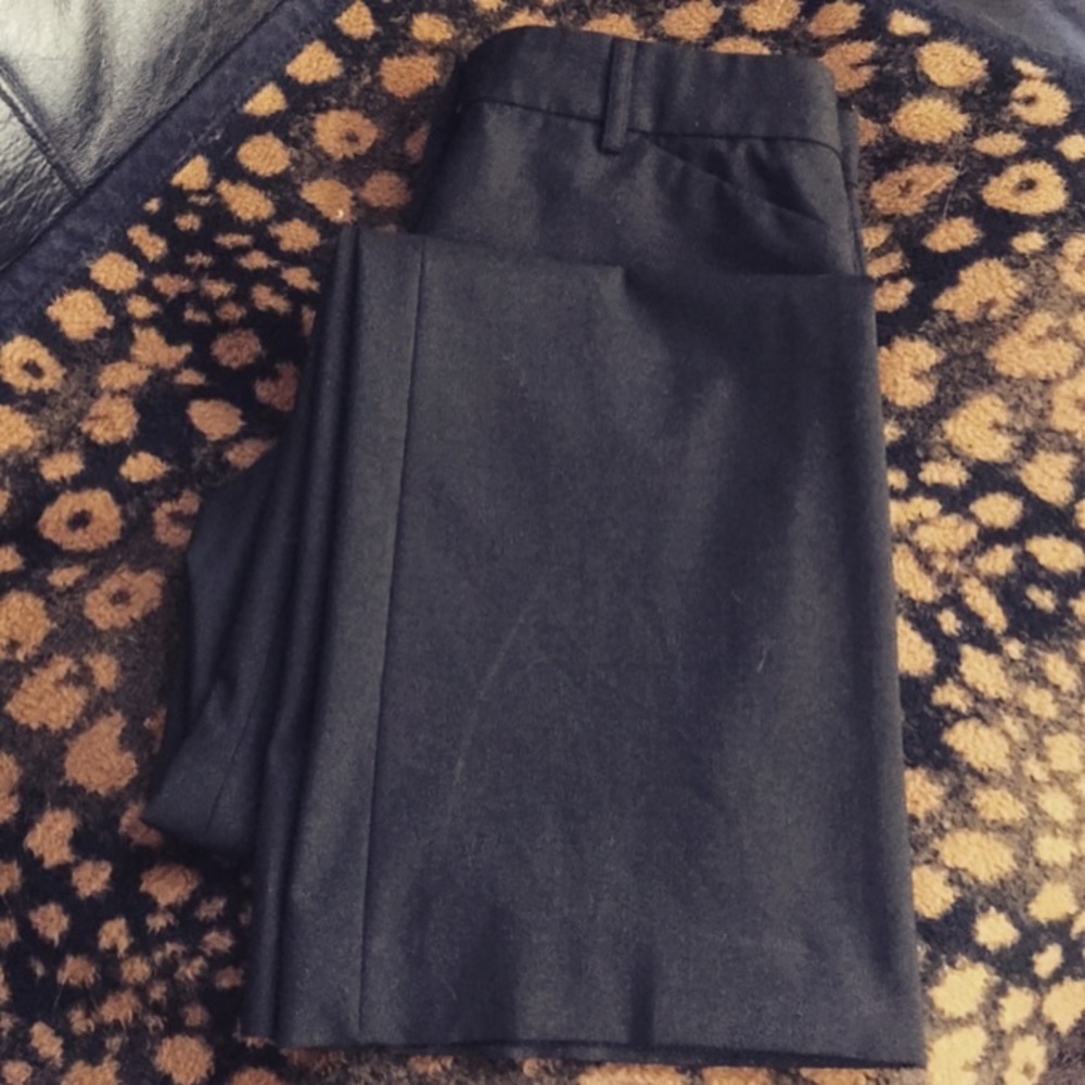 Express Dress Pants