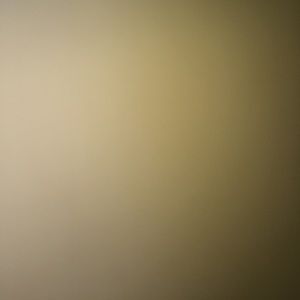 Meet your Posher, Claire