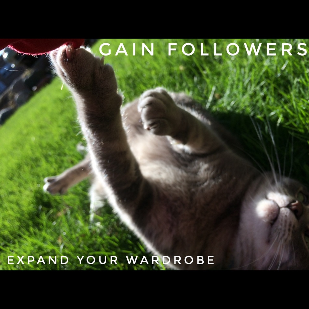 🐲 FOLLOW the smoke toward the riff filled land - Picture 2 of 2