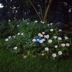 Meet your Posher, Kathy berry hilzendager