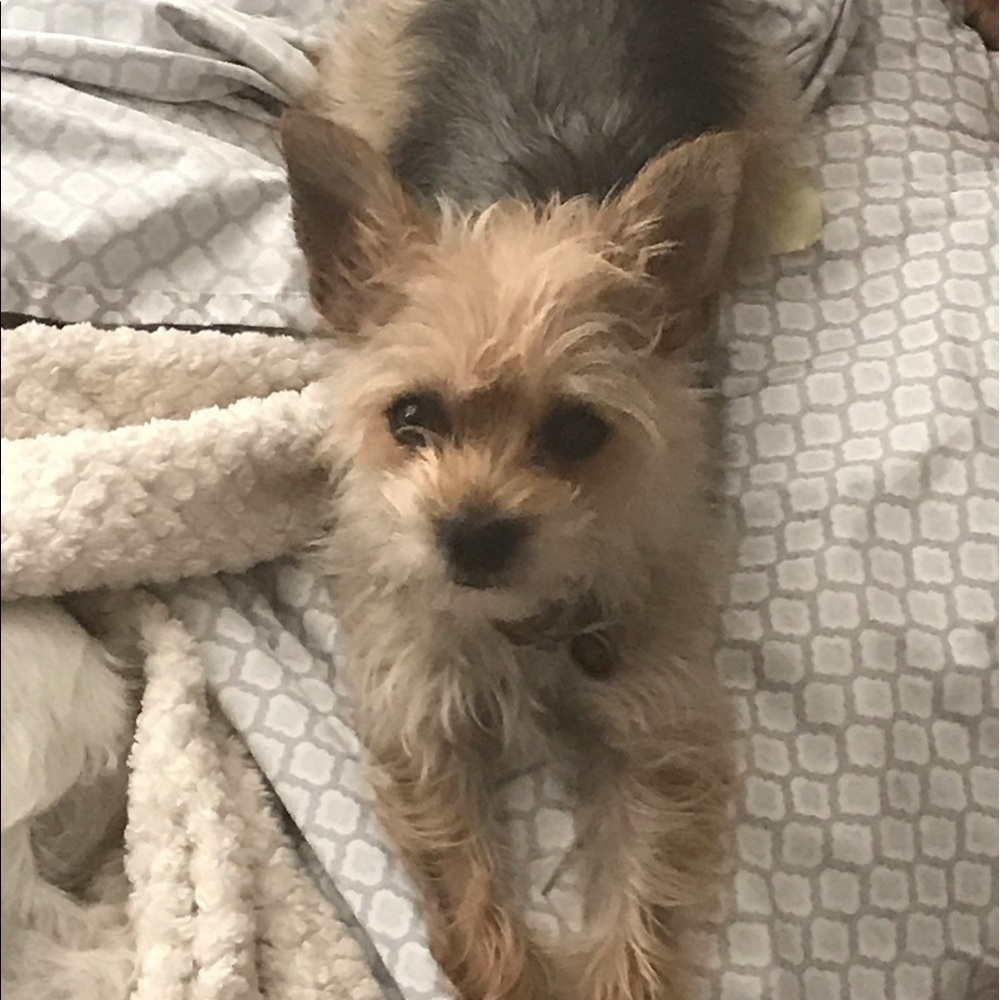 Meet your Posher, Alison