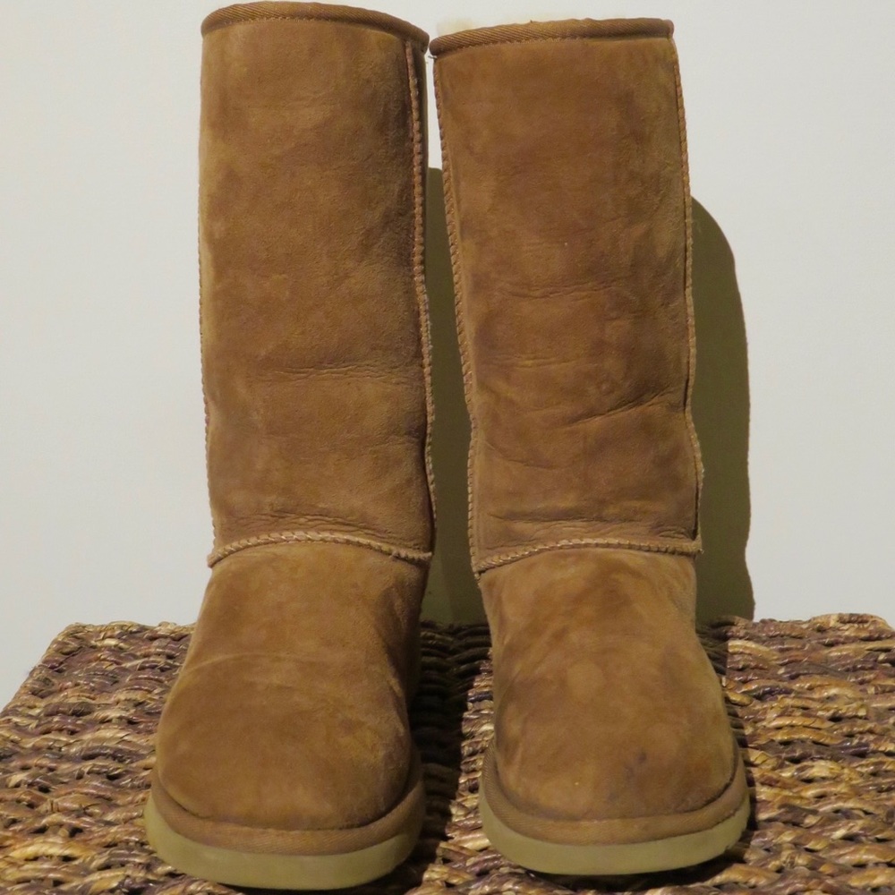 Tall Chestnut Uggs