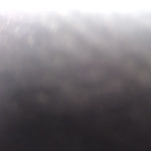 Meet your Posher, Tionna