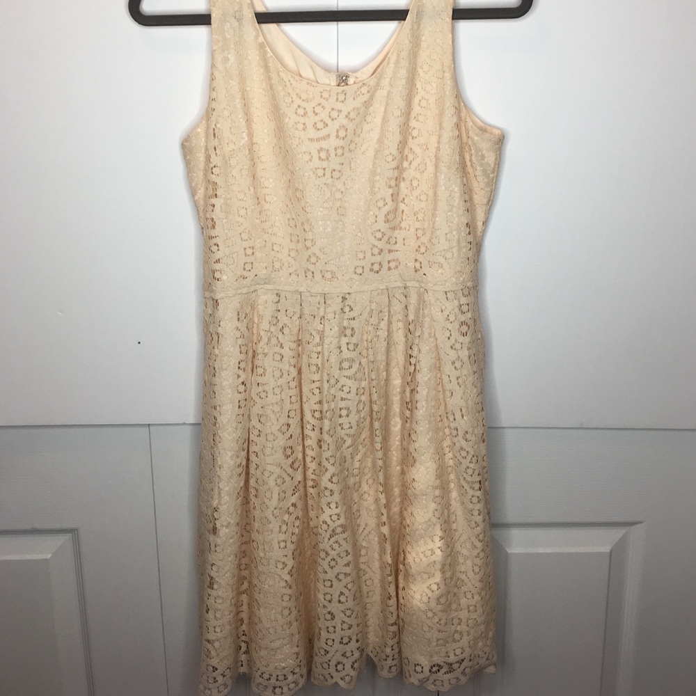 JCrew Lace Dress