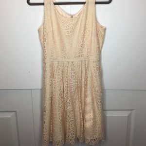 JCrew Lace Dress