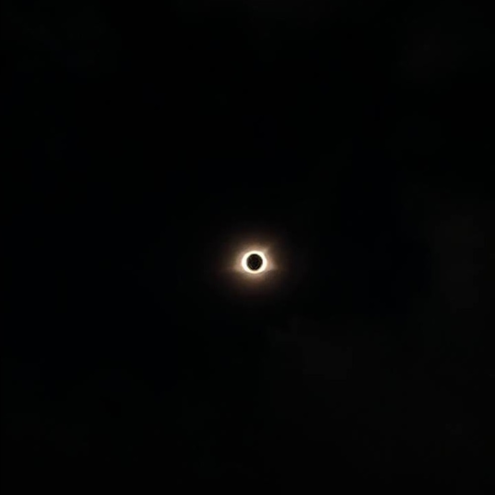 Meet your Posher, Sophia