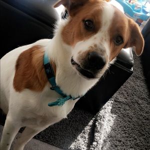 Meet your Posher, Meaghan